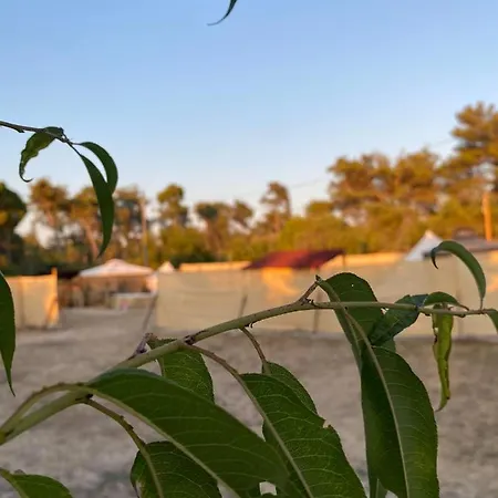 Luxuszelt Estera Tent Zadar